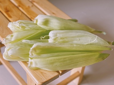 宅家-手机摄影-日常-拾趣-食物 图片素材