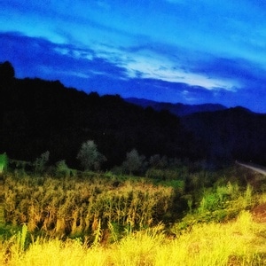 旅行-乡间-夜晚-田野-寂静 图片素材