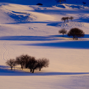 雪世界-赤峰市-大自然-风景-风光 图片素材