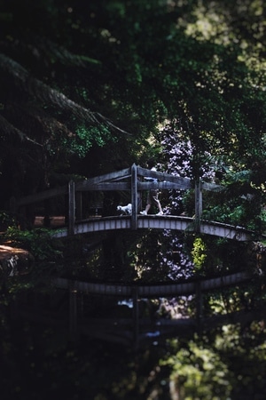 原创-随拍-光影-公园-旅行 图片素材