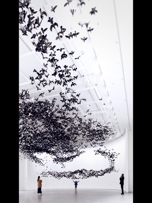 原创-随拍-艺术展-艺术展-鸟 图片素材