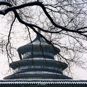 雪-天坛-胶片-天坛-古建筑 图片素材
