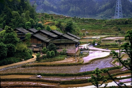 自然-风光-建筑-梯田-桂林 图片素材