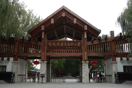 风景-湖泊-菊花-芦草-景点 图片素材