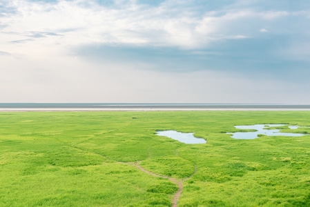 湿地-草地-湖滩-简洁-风景 图片素材