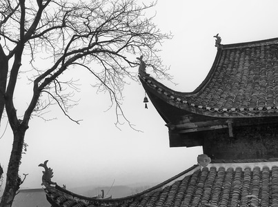 黑白-手机摄影-寺庙-古建筑-枯树 图片素材