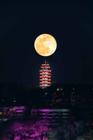 月亮-凉亭-夜景-月亮-圆月 图片素材