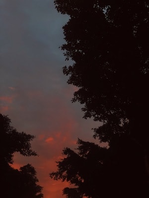 自然-简-朝霞-晚霞-霞光 图片素材