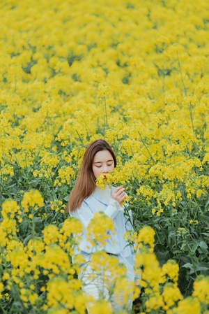 人像-油菜花-春天-小清新-女人 图片素材