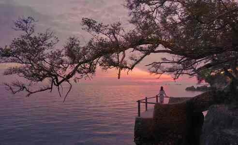 薄荷岛-菲律宾-旅拍-夕阳-风景 图片素材