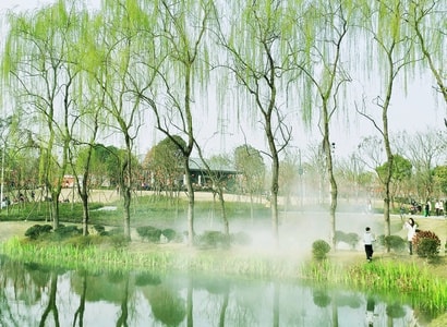 手机摄影-北湖公园-成都-春天-绿 图片素材