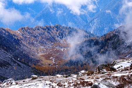 雪景-雪-彩林-龙头滩-大坪村 图片素材