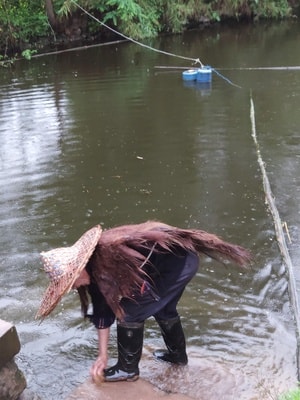 手机摄影-铜梁-侣俸-下雨-雨天 图片素材