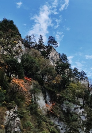 宝兴-锅巴岩-小黄山-秋-红叶 图片素材