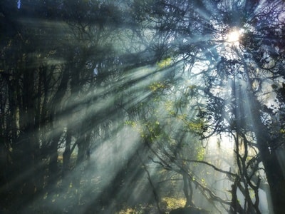 晨光-藏区-穿越-木里-手机摄影 图片素材