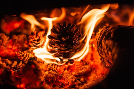 火焰-静物-2020-暖-火山 图片素材