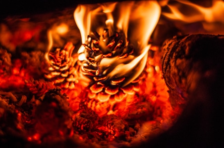火焰-静物-2020-暖-南瓜灯笼 图片素材
