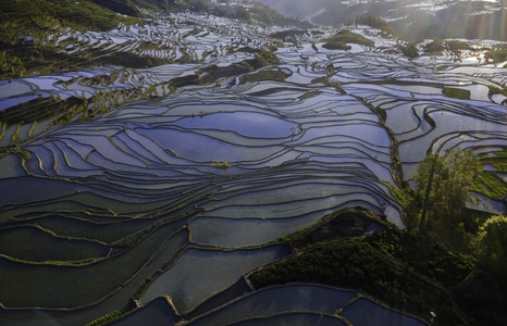 红河哈尼族彝族自治州-风光-风光-风景-自然 图片素材
