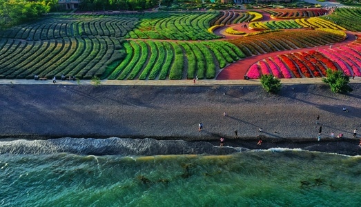 玉溪市-风光-风景-风光-沙滩 图片素材