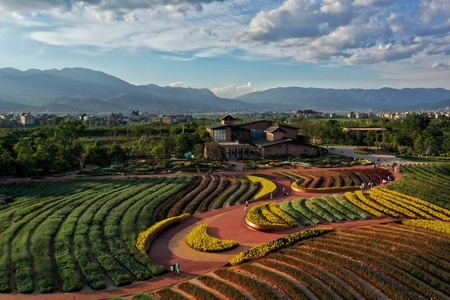 玉溪市-风光-风景-风光-田地 图片素材