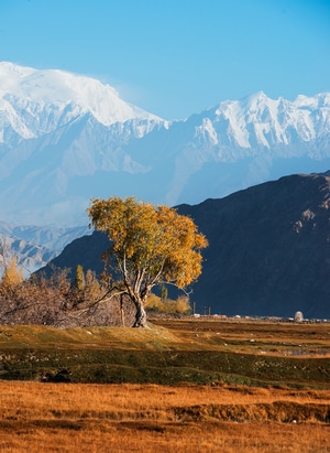 秋天-电脑传图-旅行-自然-风景 图片素材