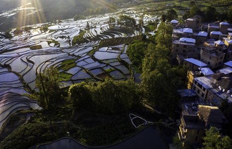 红河哈尼族彝族自治州-风光-农田-梯田-风景 图片素材