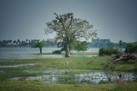 阿努拉德普勒-人文纪实-富士相机-斯里兰卡-风景 图片素材