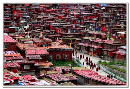 人文-风景-佛学院-佛教-宗教 图片素材