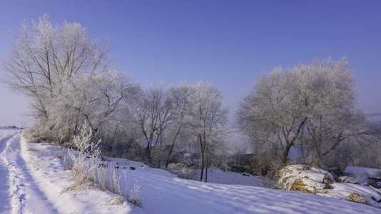 日出-冰掛-雪-雪地-2020 图片素材