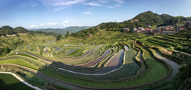 梯田-陽光-水田-藍天-梯田 图片素材