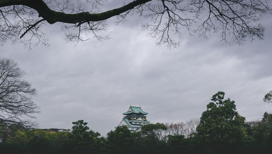 建筑-日本-大阪城-古建筑-树 图片素材
