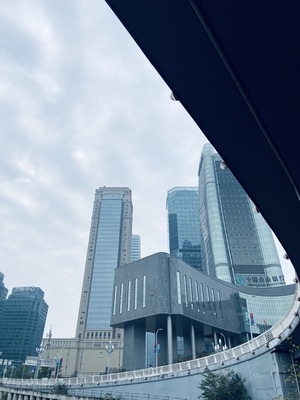 手机摄影-我要上热门-抓拍-苹果原相机-摄影 图片素材