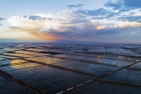 三江平原-稻田-田地-农田-稻田 图片素材