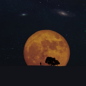夜色-圆月-有人-树木-星空 图片素材
