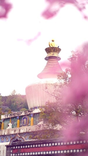 随拍-游记-旅行-照片-塔尔寺 图片素材