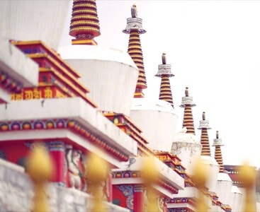 随拍-游记-旅行-照片-塔尔寺 图片素材