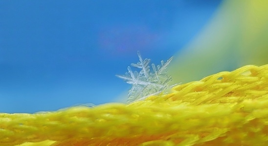 你好2020-手机微距-玉米-雪花-雪 图片素材