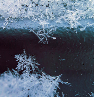 雪世界-雪花-冰凌花-雪花-冰凌花 图片素材