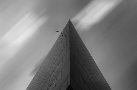 风光-利物浦-建筑-高楼-鸟 图片素材