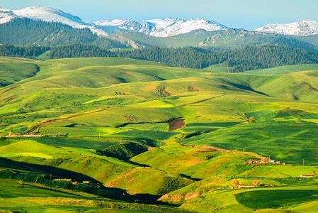 新疆-塔城-风光-风景-风光 图片素材