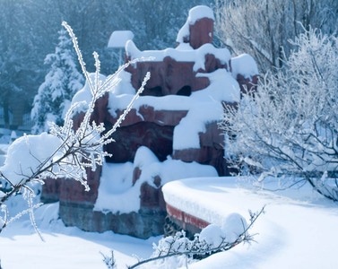 新疆乌鲁木齐市-雪景-雪景-树木-树 图片素材