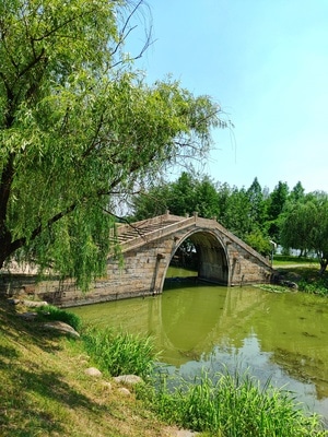 桥-随心拍-无锡市-氧气-森林 图片素材