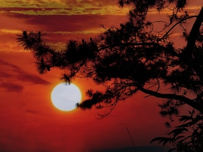 佛山市-手机拍摄-随手拍-夕阳-风光 图片素材