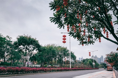 疫情防控中的新年-你好2020-深圳-原创-色彩 图片素材
