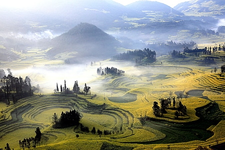 艺术风光-油菜花-云南-自然-风景 图片素材