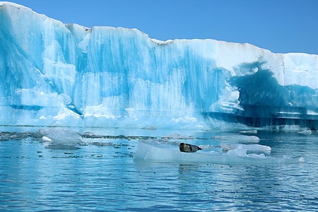 风光-南极-冰山-风景-自然 图片素材
