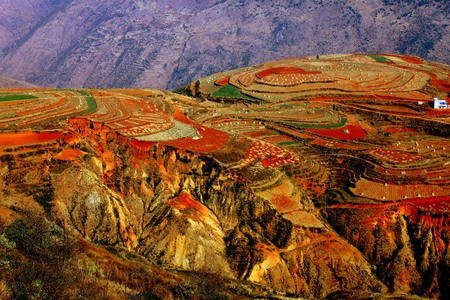 旅行-云南-风景-自然-梯田 图片素材