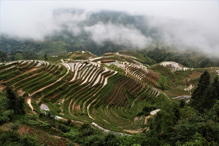 70周年摄影大赛-70周年风光-龙脊梯田-风光-风景 图片素材