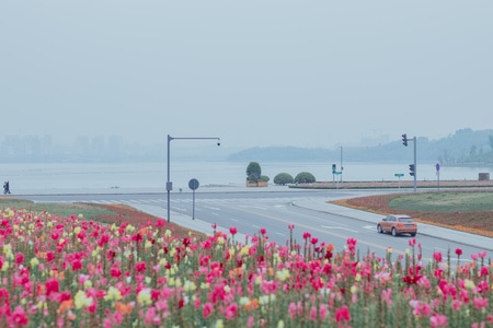成都-兴隆湖-骑行-自行车-兴隆湖 图片素材