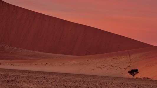 非洲-沙漠-纳米比亚-红色-沙丘 图片素材